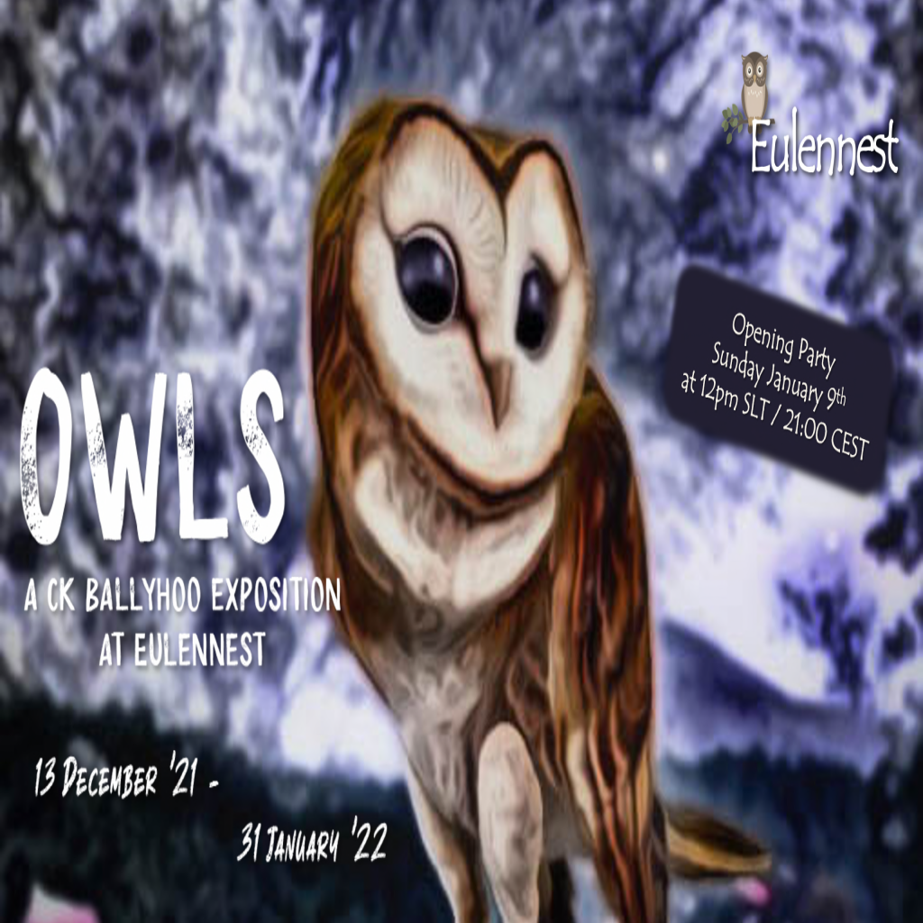 Owl’s at Eulennest by CK