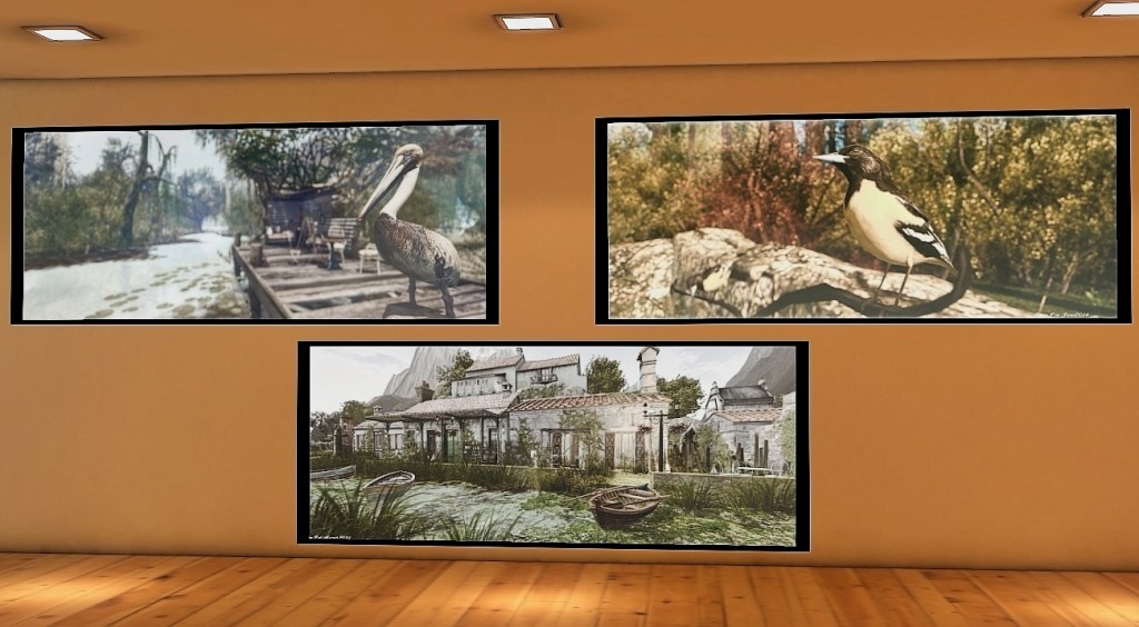 A soft-lit wall of the IMAGO Art Gallery featuring three of Inara Pey’s landscape photographs—birds, wetlands, and rustic buildings.