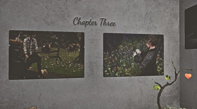 A pair of Second Life images displayed under the title "Chapter Three." On the left, a man relaxes on a bench near grazing cows, while a dog and a cat sit nearby. On the right, a woman in black gazes thoughtfully at a daisy while standing in a field of wildflowers—capturing a moment of reflection.